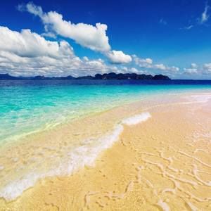 Meet your Posher, Sofia